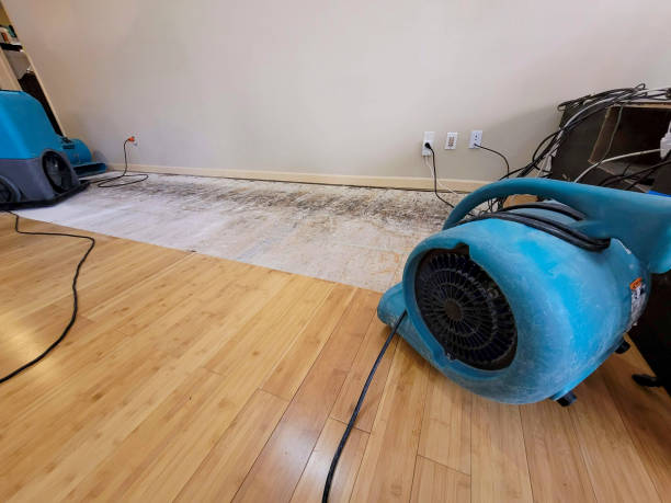 Professional Flood Damage Cleanup technician working in Wayland, IA